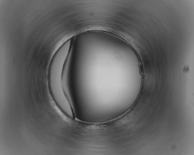 X0000091860898200709261252