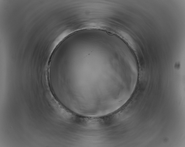 X0000091860899200709261252