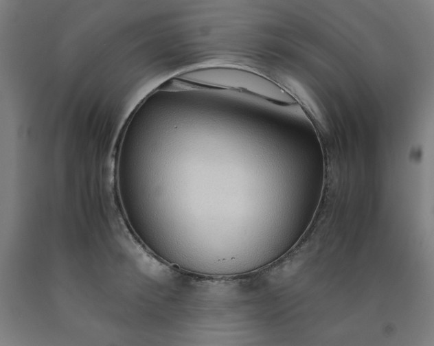 X0000091860900200709261252