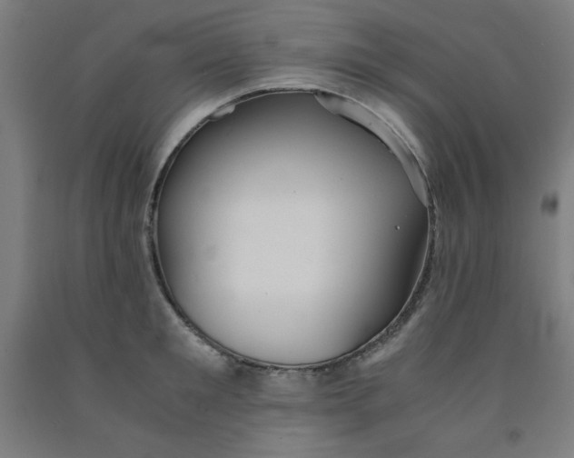 X0000091860901200709261252