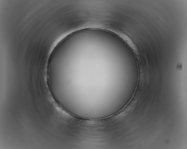 X0000091860904200709261252