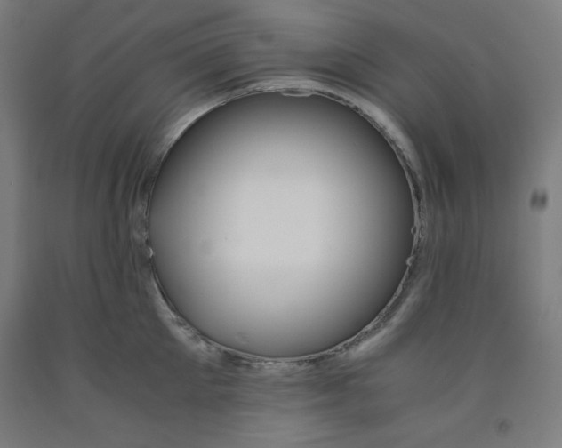 X0000091860905200709261252