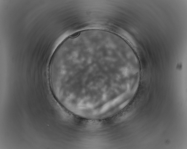 X0000091860907200709261252