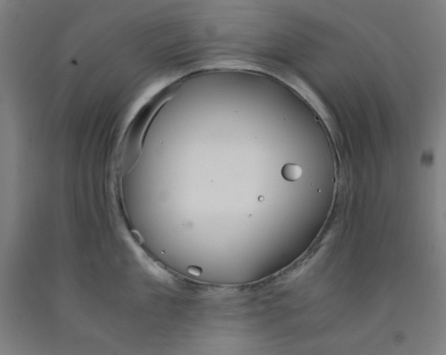 X0000091860909200709261252