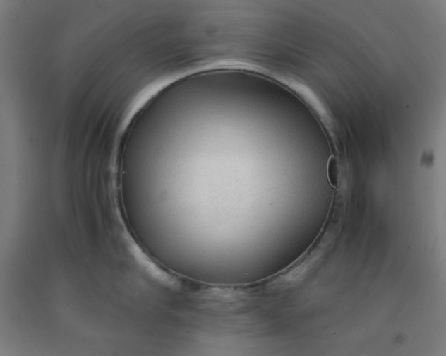 X0000091860910200709261252