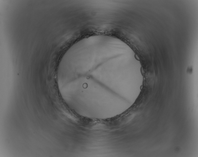 X0000091860913200709261251