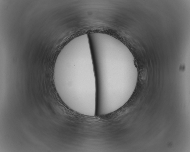 X0000091860916200709261251