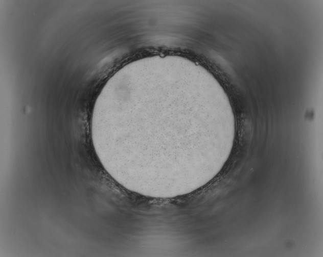 X0000091860918200709261251