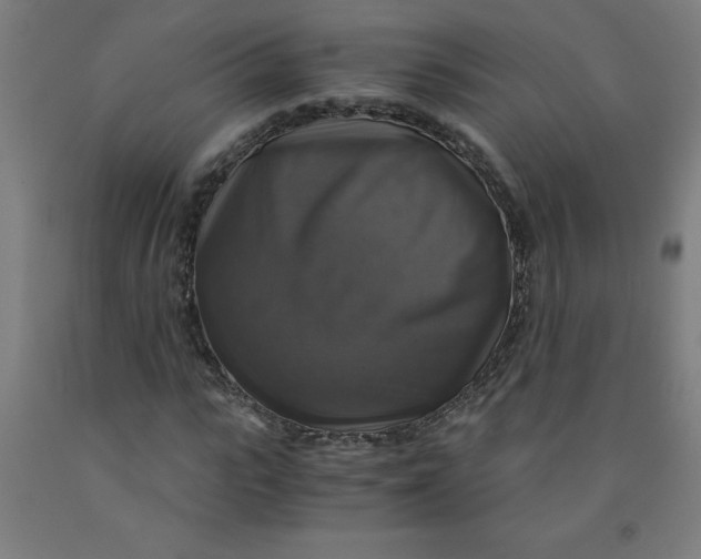 X0000091860919200709261251