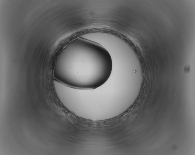 X0000091860920200709261251