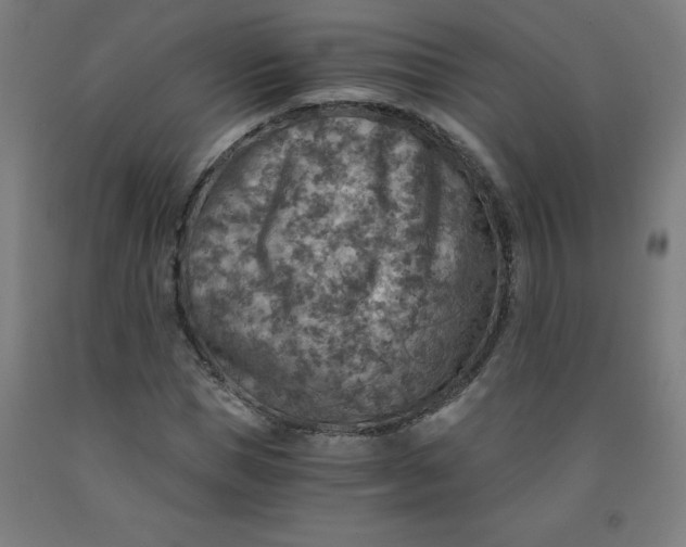 X0000091860921200709261251