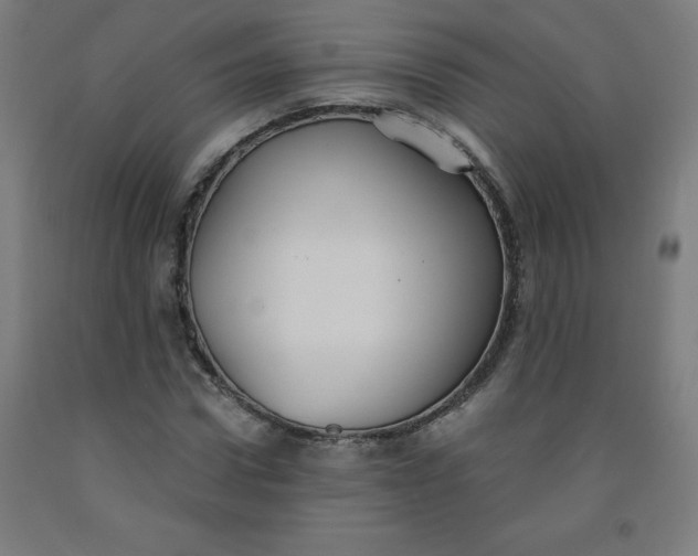 X0000091860922200709261251