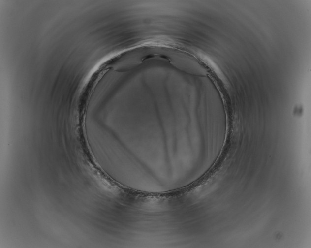 X0000091860923200709261251