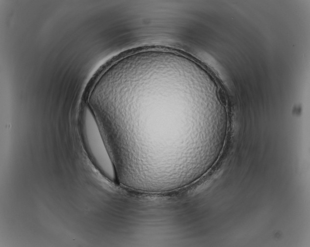 X0000091860924200709261251