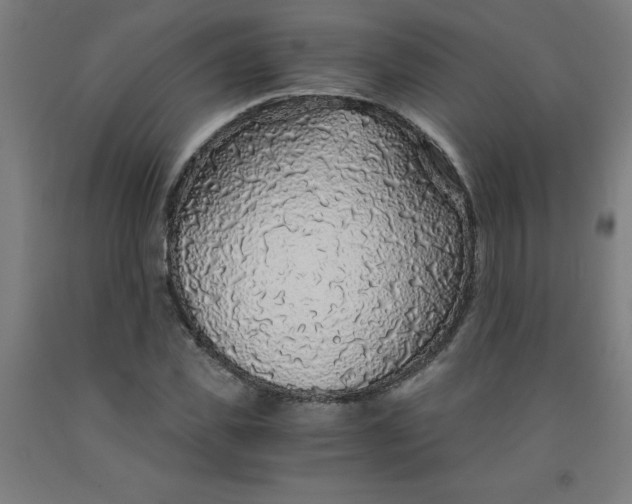 X0000091860925200709261251