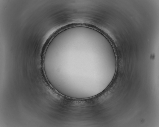 X0000091860927200709261251