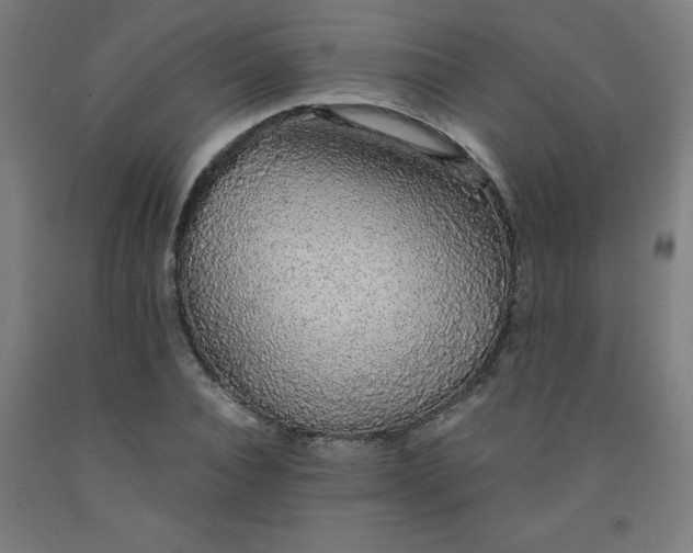 X0000091860928200709261251