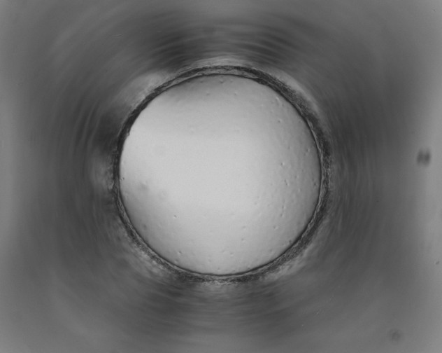 X0000091860929200709261251