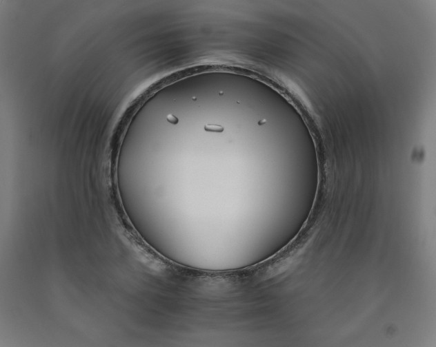 X0000091860931200709261251