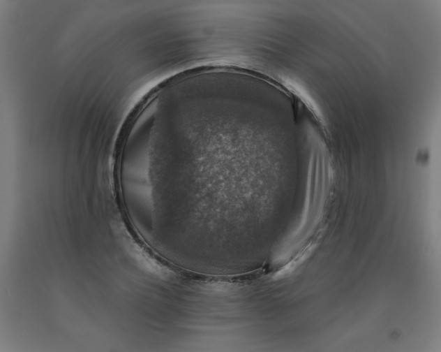 X0000091860932200709261251