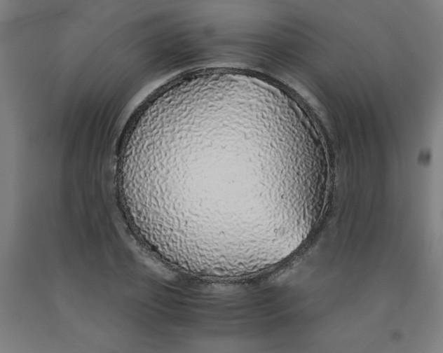 X0000091860933200709261251