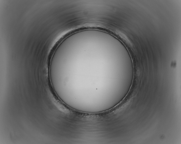 X0000091860934200709261251