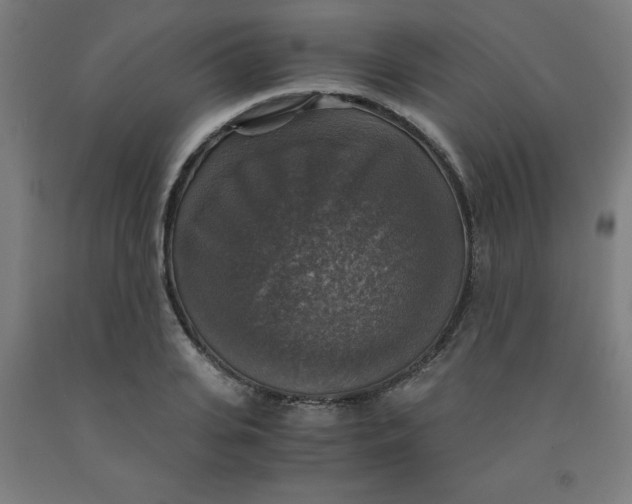 X0000091860935200709261251