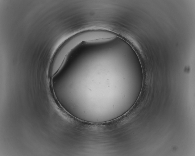 X0000091860936200709261251