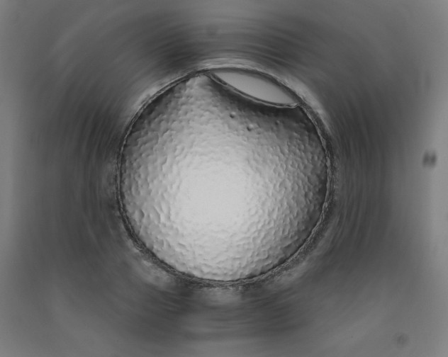 X0000091860937200709261251