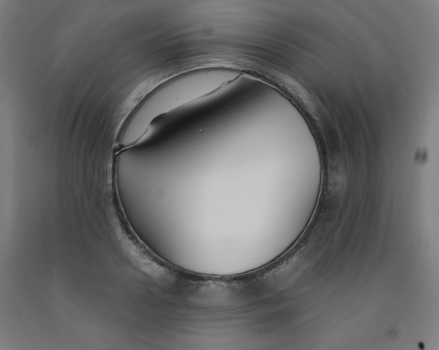 X0000091860938200709261251