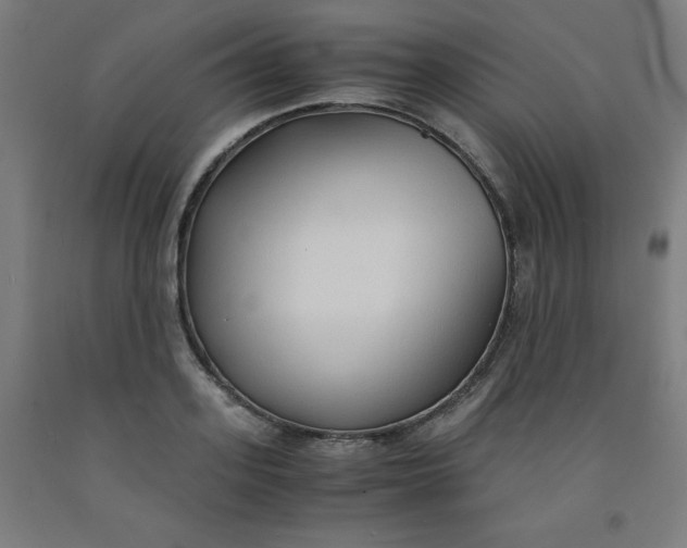 X0000091860939200709261251