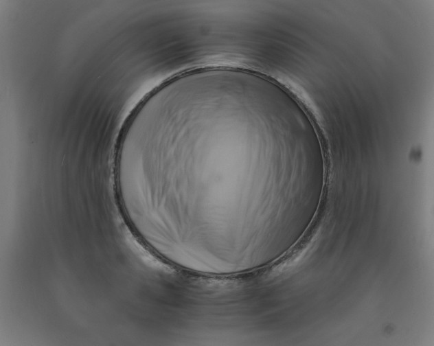 X0000091860941200709261251