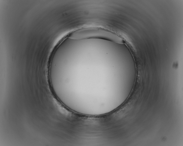 X0000091860942200709261251