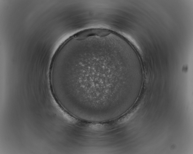 X0000091860943200709261251