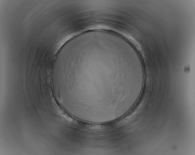 X0000091860945200709261251