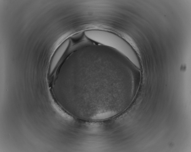 X0000091860946200709261251