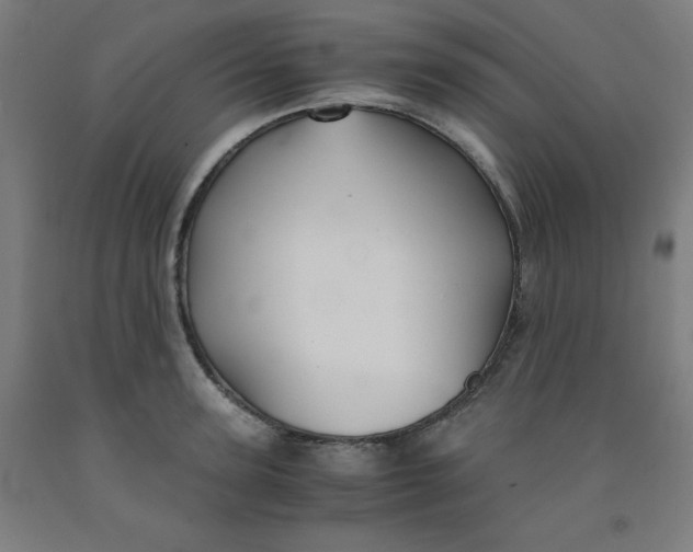 X0000091860947200709261252