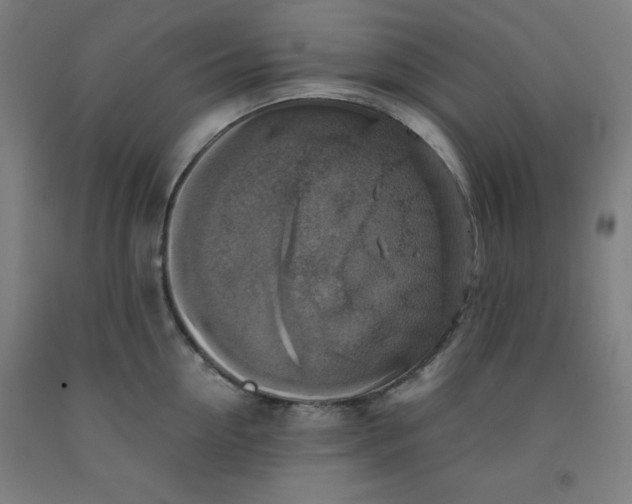 X0000091860954200709261252