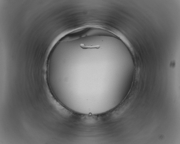 X0000091860955200709261252