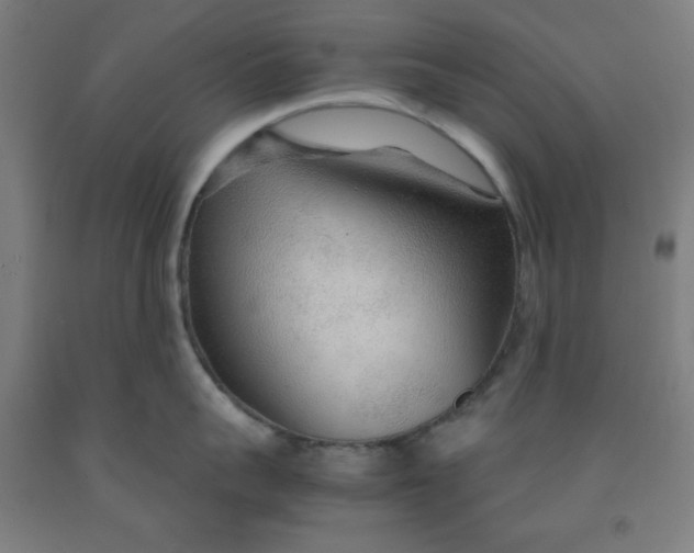 X0000091860959200709261252