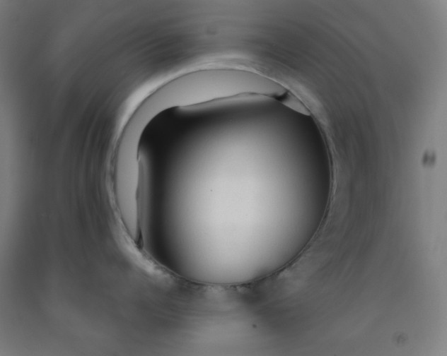 X0000091860960200709261252