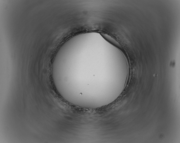 X0000091860961200709261251