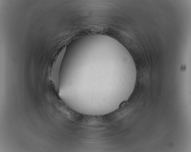 X0000091860962200709261251