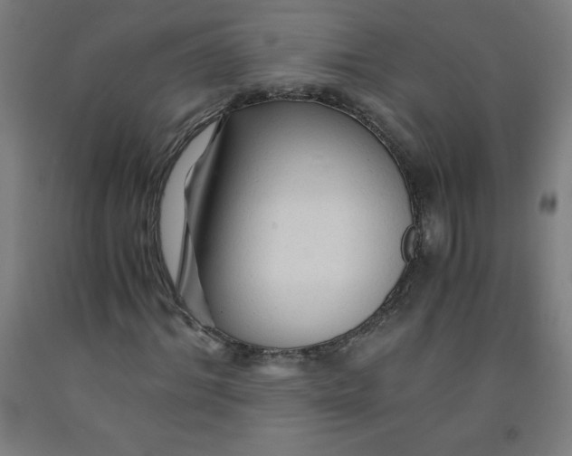 X0000091860964200709261251