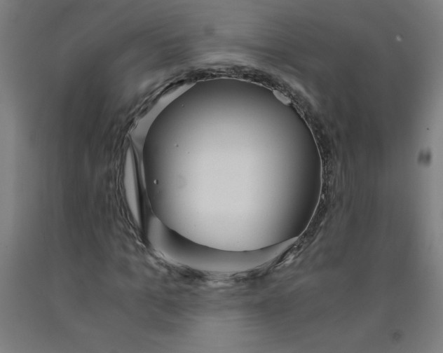 X0000091860965200709261251