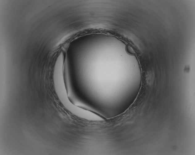 X0000091860968200709261251