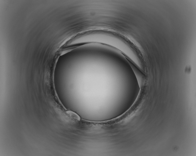 X0000091860969200709261251