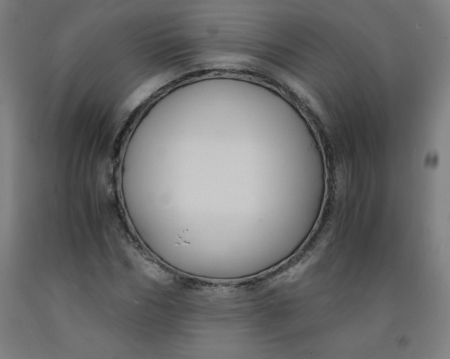 X0000091860970200709261251