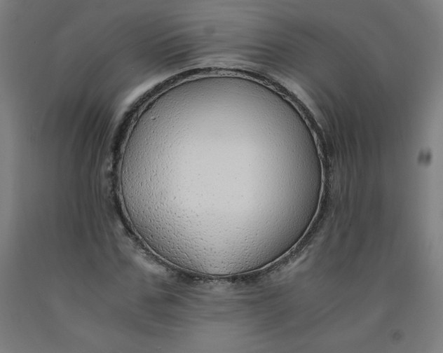 X0000091860971200709261251