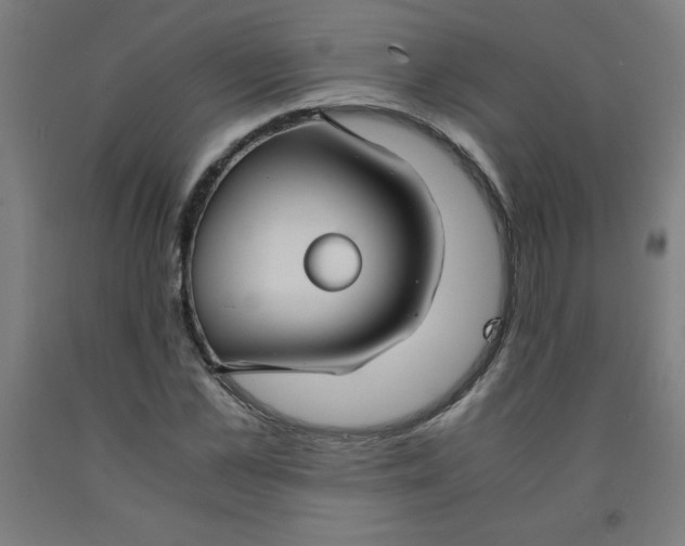 X0000091860973200709261251